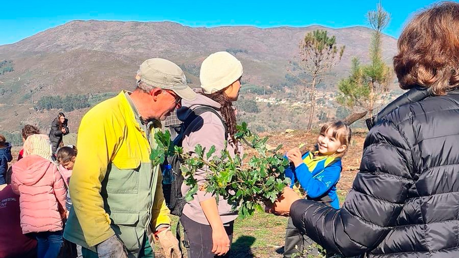 Volunteers pass a young oak to a child during a tree-planting day on the burnt slopes of the Serra Amarela, Peneda-Gerês National Park