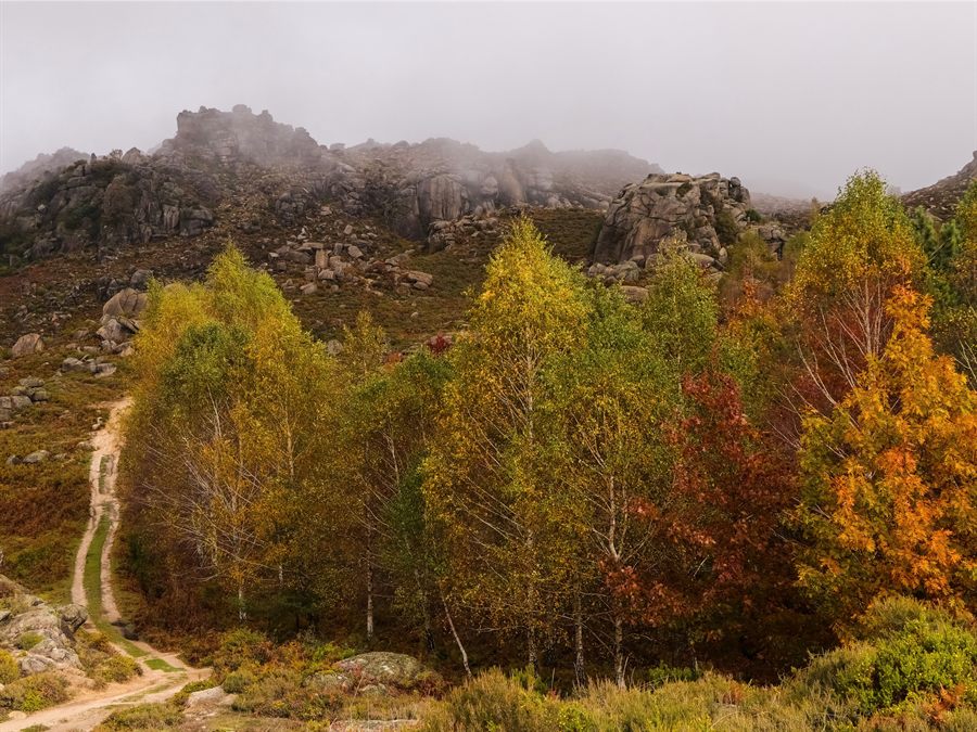 Woodland with autumn colours and a path in Peneda-Gerês National Park